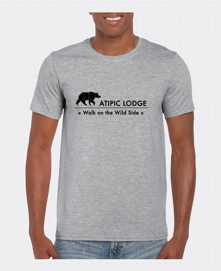 t shirt atipic lodge nuit insolite
